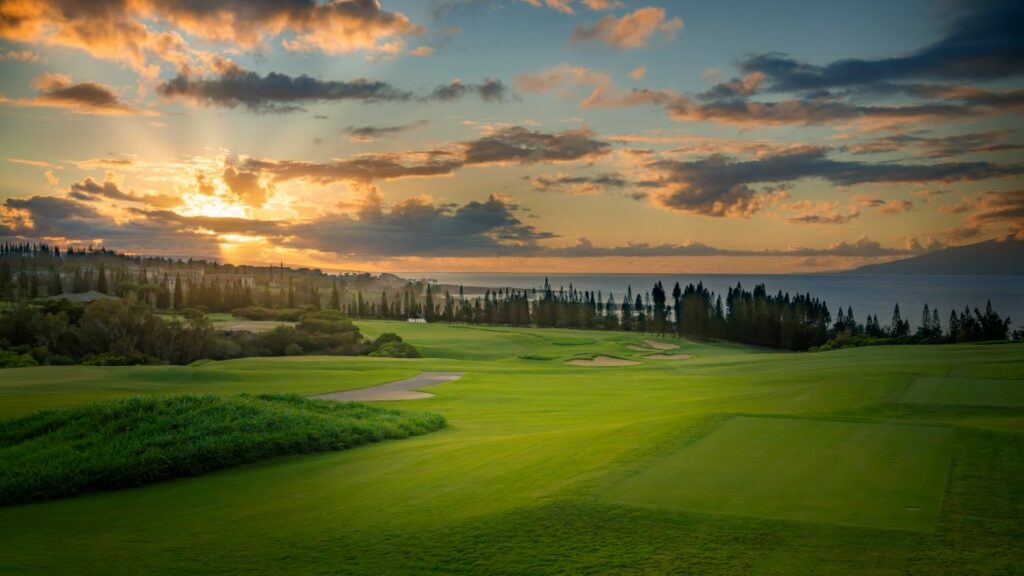 Green dramatic looking golf course area sea wiev on the horizon with pine trees